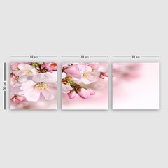 Репродукция из трех частей Розовые цветы цена и информация | Картины | 220.lv