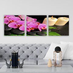 Репродукция из трех частей Орхидеи и свечи цена и информация | Картины | 220.lv