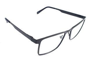 Brilles lasīšanai +2 cena un informācija | Nav norādīts Optika | 220.lv