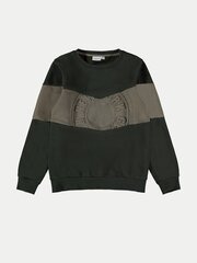 Zēnu džemperis Name it 120212_02056684|52_21 cena un informācija | Zēnu jakas, džemperi, žaketes, vestes | 220.lv