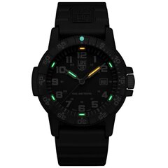 Мужские часы Luminox Leatherback Sea Turtle Giant XS.0321.L цена и информация | Мужские часы | 220.lv