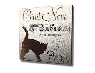 Репродукция Chat Noir Paris цена и информация | Картины | 220.lv