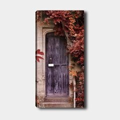 Репродукция Закрытые двери цена и информация | Картины | 220.lv