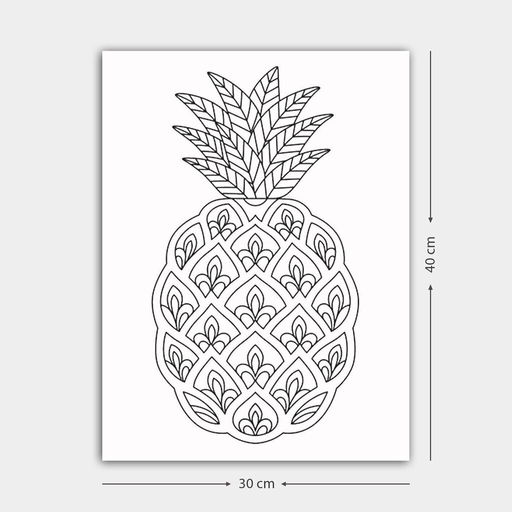 Reprodukcija Ananass cena un informācija | Gleznas | 220.lv