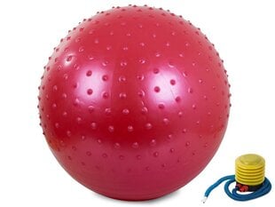 Надувной мяч для фитнеса с помпой, 55 см  цена и информация | Гимнастические мячи | 220.lv