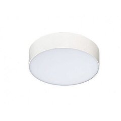 Azzardo griestu lampa Monza II R 40 White AZ3799 цена и информация | Потолочные светильники | 220.lv