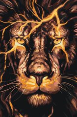 Kартины по номерам "Взгляд льва" 40x60 G цена и информация | Живопись по номерам | 220.lv