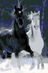 Glezna pēc numuriem "Zirgi sniegā" 40x60 G cena un informācija | Gleznas pēc numuriem | 220.lv