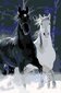 Glezna pēc numuriem "Zirgi sniegā" 40x60 G cena un informācija | Gleznas pēc numuriem | 220.lv