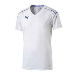 Спортивная футболка мужская Puma Accuracy M 702214-13, белая цена и информация | Мужская спортивная одежда | 220.lv