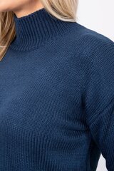 Džemperis 18730 cena un informācija | Sieviešu džemperi | 220.lv