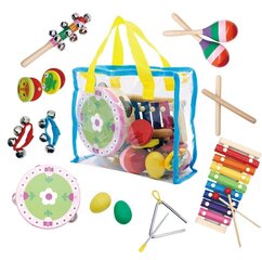 Музыкальный набор 14 инструментов + сумка Ecotoys цена и информация | Развивающие игрушки | 220.lv