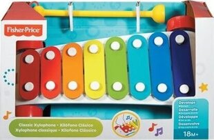 Игрушка ксилофон Fisher Price, CMY09 цена и информация | Развивающие игрушки | 220.lv