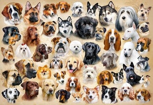 Puzle Puzzle Castorland, "Collage with Dogs " 1500 det. cena un informācija | Puzles, 3D puzles | 220.lv