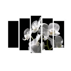 Репродукция из пяти частей Орхидеи цена и информация | Картины | 220.lv