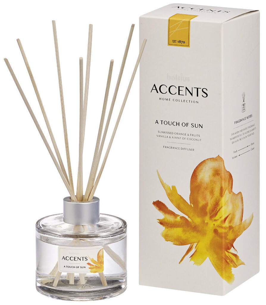 ACCENTS Gaisa atzvaidzinātājs 100ml, Sun cena un informācija | Mājas aromāti | 220.lv