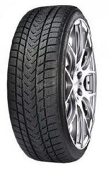 Gripmax 245/35R18 92 V Status Pro Winter цена и информация | Всесезонная резина | 220.lv