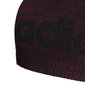 Adidas Cepures Daily Beanie Lt Bordeaux H35690/OSFM cena un informācija | Vīriešu cepures, šalles, cimdi | 220.lv