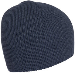 Adidas Вязаные шапки Perf Beanie Blue GS2114/OSFM цена и информация | Мужские шарфы, шапки, перчатки | 220.lv