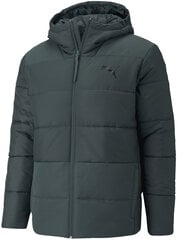 Мужская куртка Puma WarmCell Padded Jacket Green 587709 80/L цена и информация | Мужские куртки | 220.lv