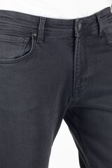 Джинсы BLK JEANS, 36/34 цена и информация | Мужские джинсы | 220.lv
