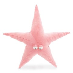 Звезда (Морская) цена и информация | Игрушки для малышей | 220.lv