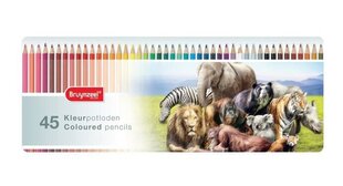 Krāsu zīmuļi BRUYNZEEL WILD ANIMALS, 45 krāsas cena un informācija | Modelēšanas un zīmēšanas piederumi | 220.lv