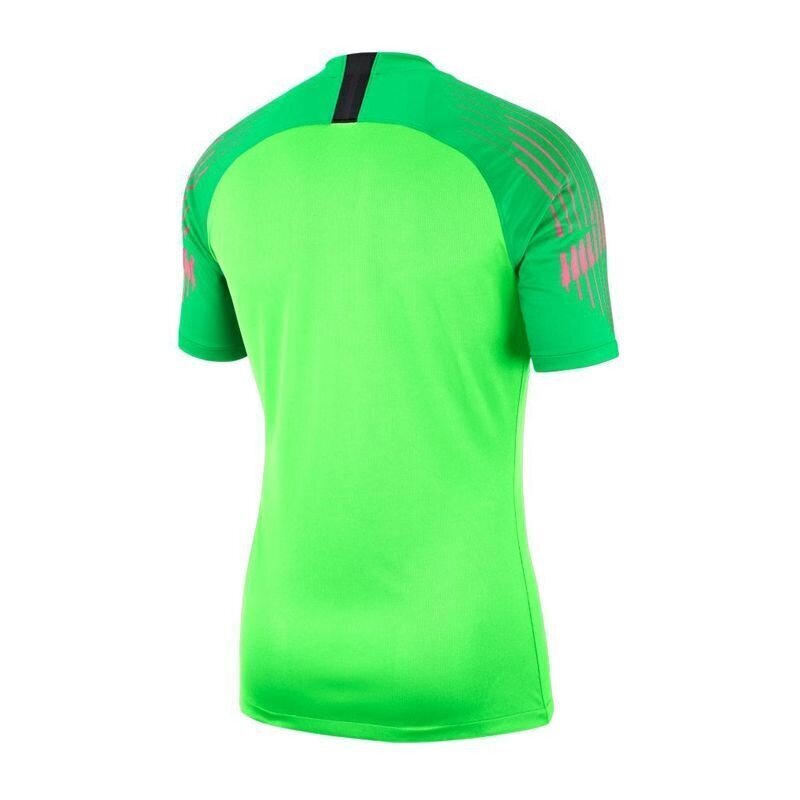 Sporta T-krekls vīriešiem Nike Gardien II GK SS M 894512-398 (47769) цена и информация | Sporta apģērbs vīriešiem | 220.lv