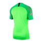 Sporta T-krekls vīriešiem Nike Gardien II GK SS M 894512-398 (47769) цена и информация | Sporta apģērbs vīriešiem | 220.lv
