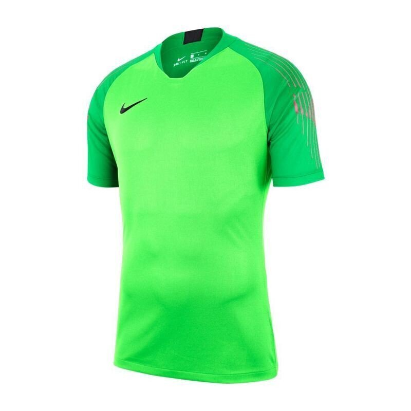 Sporta T-krekls vīriešiem Nike Gardien II GK SS M 894512-398 (47769) цена и информация | Sporta apģērbs vīriešiem | 220.lv