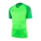 Sporta T-krekls vīriešiem Nike Gardien II GK SS M 894512-398 (47769) цена и информация | Sporta apģērbs vīriešiem | 220.lv