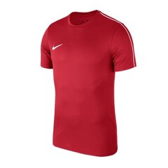 Спортивная футболка для мальчиков Nike Park 18 SS TOP Y NK DRY Jr AA2057 657, красная цена и информация | Рубашки для мальчиков | 220.lv