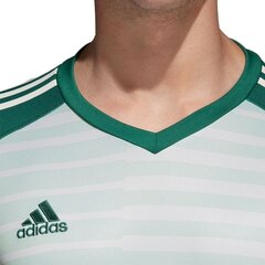 Zēnu krekls Adidas AdiPro 18 GK JR CV6352_JR, zaļš cena un informācija | Zēnu krekli | 220.lv