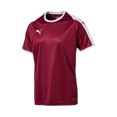 Спортивная футболка мужская Puma Liga M 703417 09 цена и информация | Мужская спортивная одежда | 220.lv