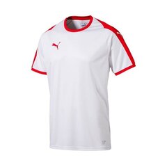 Спортивная футболка мужская Puma LIGA M 703417 11, 48080 цена и информация | Мужская спортивная одежда | 220.lv