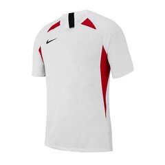 Sporta T-krekls vīriešiem Nike Legend SS M AJ0998-101, balts cena un informācija | Sporta apģērbs vīriešiem | 220.lv