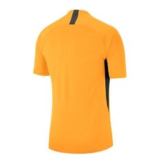 Sporta t-krekls vīriešiem Nike Legend SS M AJ0998-739, 48361 cena un informācija | Sporta apģērbs vīriešiem | 220.lv