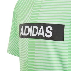 T-krekls zēniem Adidas Branded Junior DV1365, zaļš cena un informācija | Zēnu krekli | 220.lv