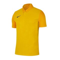 Sporta T-krekls vīriešiem Nike Trophy IV M BV6725-719, 52408 cena un informācija | Sporta apģērbs vīriešiem | 220.lv