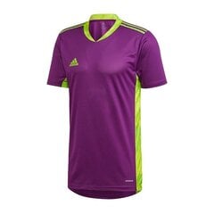 Спортивная футболка Adidas AdiPro 20 GK M FI4206, фиолетовая цена и информация | Мужская спортивная одежда | 220.lv