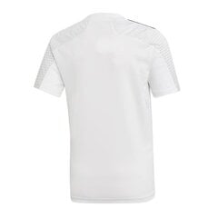 Sporta T-krekls zēniem Adidas Regista 20 Jr FI4566, 53243 cena un informācija | Zēnu krekli | 220.lv