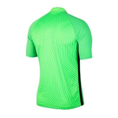 Sporta T-krekls vīriešiem Nike Gardien III GK M BV6714-398 54547, zaļš цена и информация | Мужская спортивная одежда | 220.lv