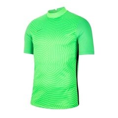 Sporta T-krekls vīriešiem Nike Gardien III GK M BV6714-398 54547, zaļš cena un informācija | Sporta apģērbs vīriešiem | 220.lv