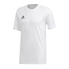Sporta T-krekls vīriešiem Adidas Team 19 M DW6896, balts cena un informācija | Sporta apģērbs vīriešiem | 220.lv