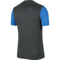 Спортивная футболка для мальчиков Nike Dry Academy PRO TOP SS Jr BV6947 062, 55452 цена и информация | Рубашки для мальчиков | 220.lv