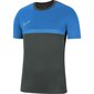 Sporta T-krekls zēniem Nike Dry Academy PRO TOP SS Jr BV6947 062, 55452 цена и информация | Zēnu krekli | 220.lv