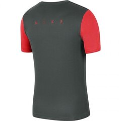 Спортивная футболка для мальчиков Nike Dry Academy PRO TOP SS Jr BV6947 064 (58315) цена и информация | Рубашки для мальчиков | 220.lv