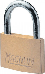 Замок навесной Magnum 40 мм Masterlock CAD40 + цена и информация | Дверные замки | 220.lv