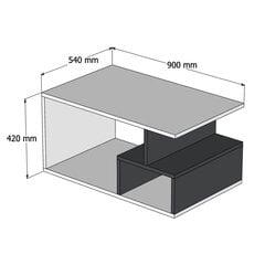 Kafijas galdiņš Kalune Design Arte 2040, brūns/melns cena un informācija | Žurnālgaldiņi | 220.lv