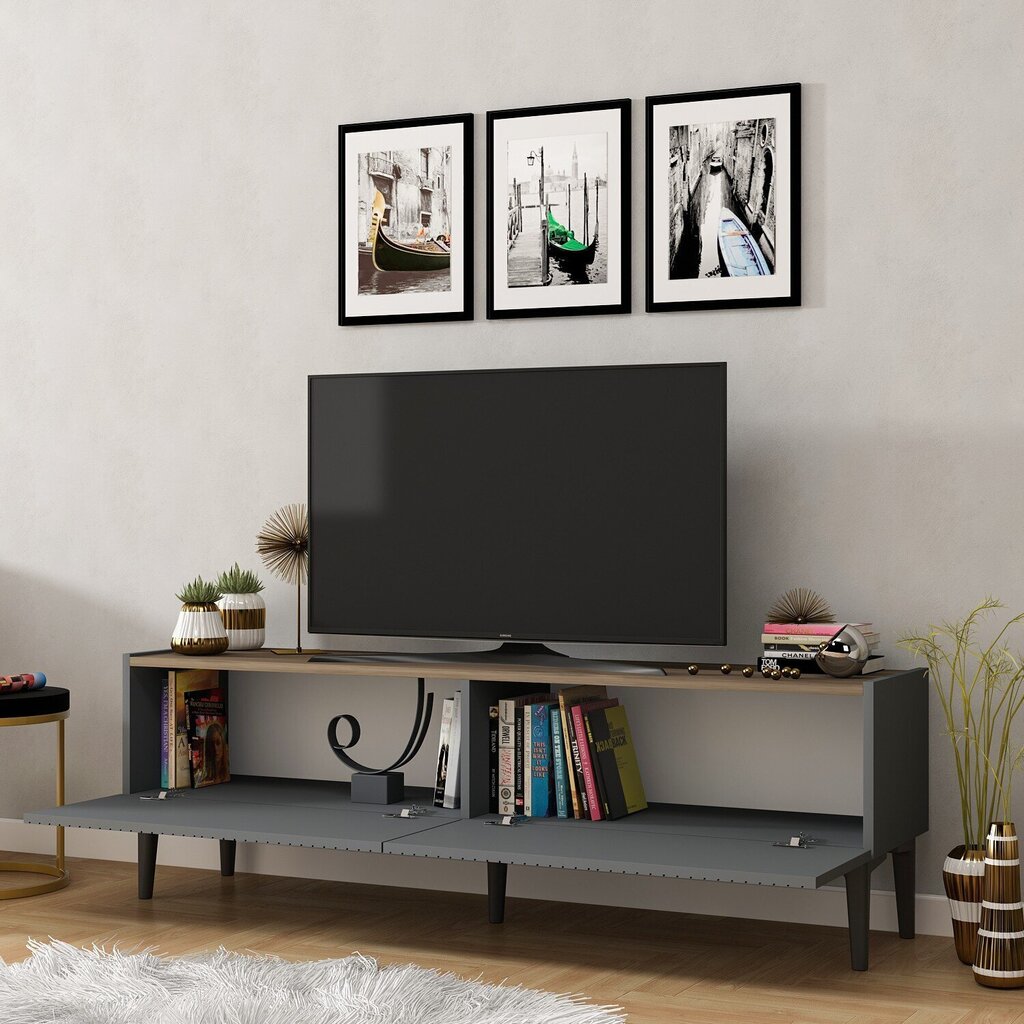 TV galdiņš Kalune Design Draw, pelēks цена и информация | TV galdiņi | 220.lv